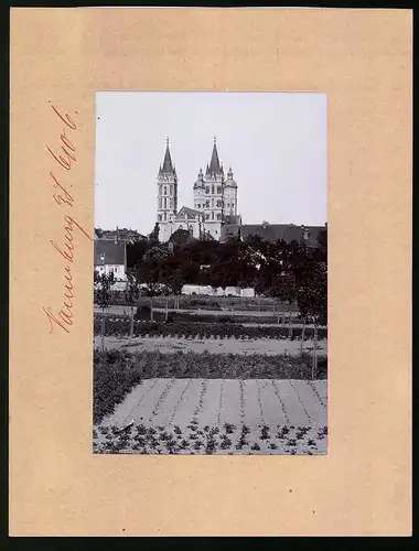 Fotografie Brück & Sohn Meissen, Ansicht Naumburg / Saale, Dom von Westen gesehen