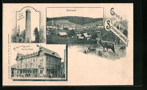 AK Schönwald /Schwarzwald, Totalansicht mit Kurhaus zum Hirschen