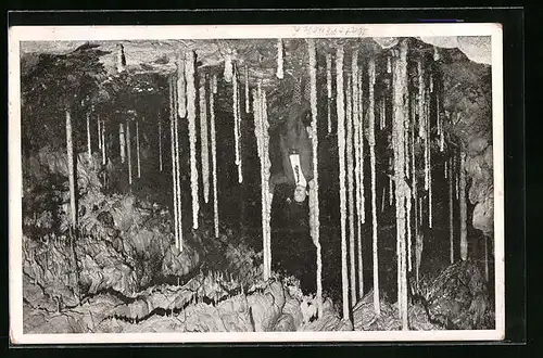 AK Tropfsteinwäldchen aus der Katharinrnhöhle