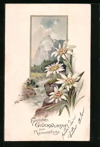 Präge-AK Edelweiss am Bach vor einem Berg