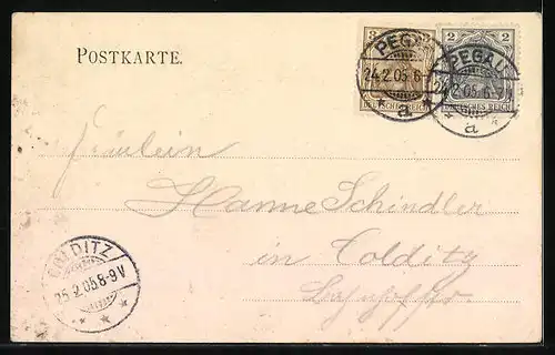 AK Pegau, Rathaus mit Geschäft von Gustav Lewy