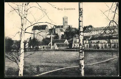 AK Gnandstein, Burg mit Feldern und Birken