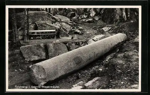 AK Felsberg i. Odenwald, Riesensäule im Wald