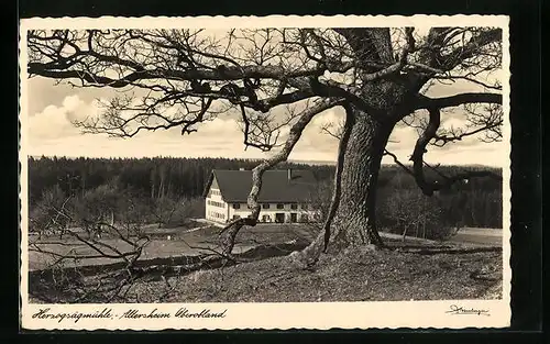 AK Herzogsägmühle, Altersheim Oberobland aus der Ferne