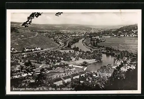 AK Esslingen-Mettingen a. N., Blick ins Neckartal