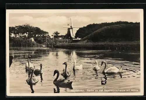 AK Norderney, Partie an der Napoleonschanze mit Mühle