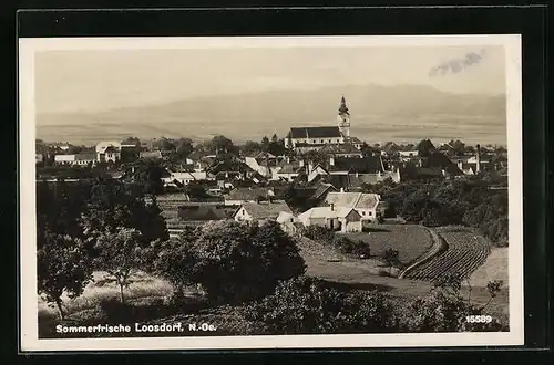 AK Loosdorf, Sommerfrische aus der Vogelschau