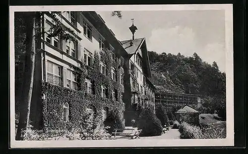 AK Puchberg, Sanatorium Strengberg mit begrünter Fassade
