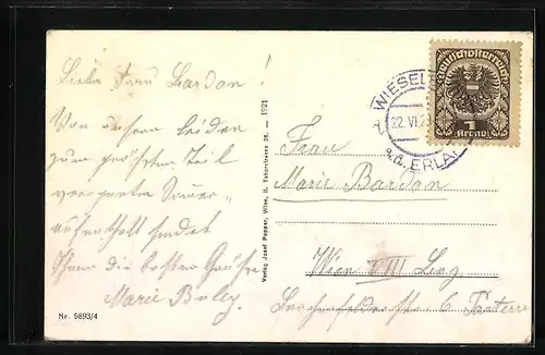 AK Wieselburg /Erlauf, Gesamtansicht