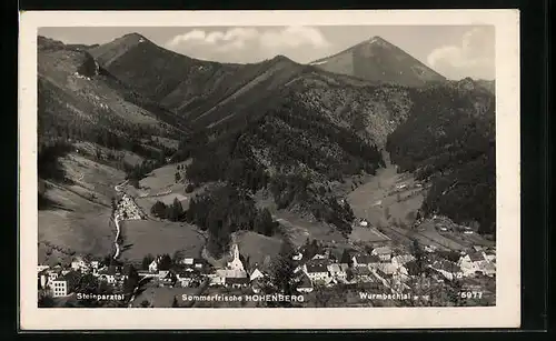 AK Hohenberg, Totalansicht mit Steinparztal und Wurmbachtal