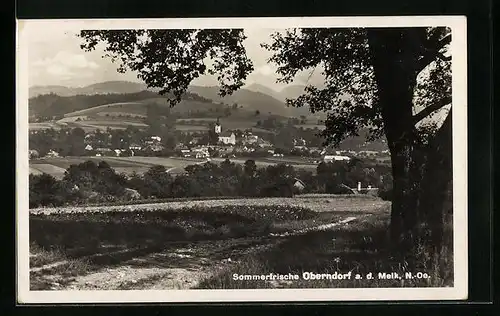 AK Oberndorf / Melk, Totalansicht mit Kirche