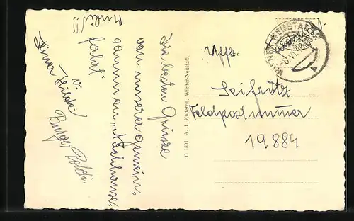 AK Wr. Neustadt, Ortsansicht mit Schneeberg und Hoher Wand