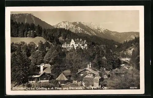 AK Steinbach bei Göstling a. d. Ybbs, Ortsansicht gegen Dürrenstein