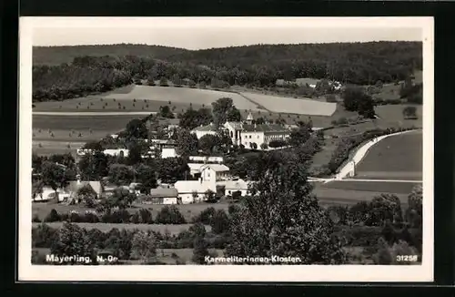 AK Mayerling, Karmeliterinnen Kloster