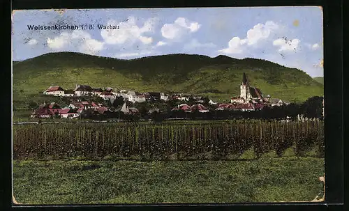 AK Weissenkirchen, Gesamtansicht in der Wachau