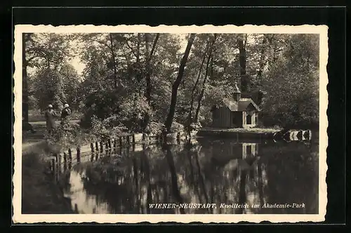 AK Wiener-Neustadt, Knollteich im Akademie Park