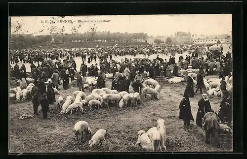 AK Rennes, Marche aux bestiaux