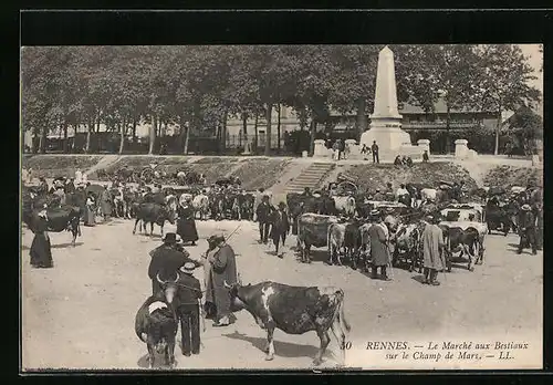 AK Rennes, Le Marché aux Bestiaux