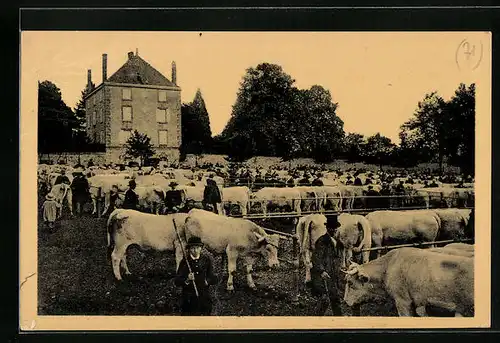 AK St-Christophe-en-Brionnais, Champ de Foire