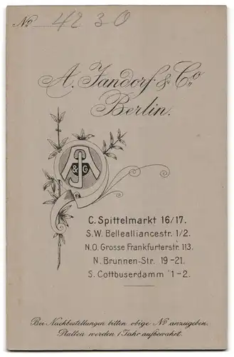 Fotografie A. Jandorf & Co., Berlin, Spittelmarkt 16 /17, Dame mit hoher Stirn und Ohrschmuck im Sonntagskleid