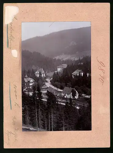 Fotografie Brück & Sohn Meissen, Ansicht Wald-Bärenburg, Blick auf den Ort im Tal mit Wohnhäusern