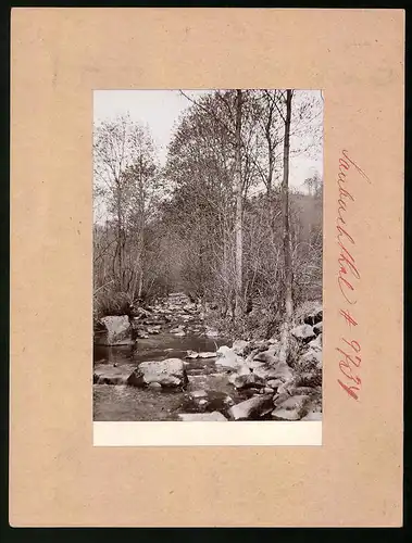 Fotografie Brück & Sohn Meissen, Ansicht Gauernitz, Partie im Saubachtal