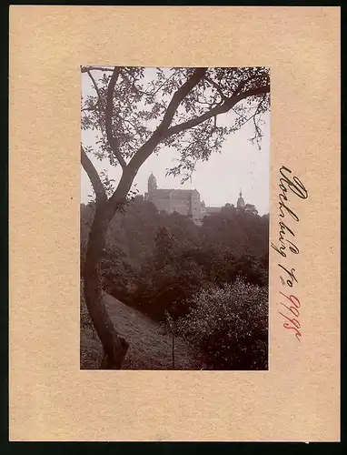 Fotografie Brück & Sohn Meissen, Ansicht Rochsburg, Blick vom Wald auf das Schloss Rochsburg