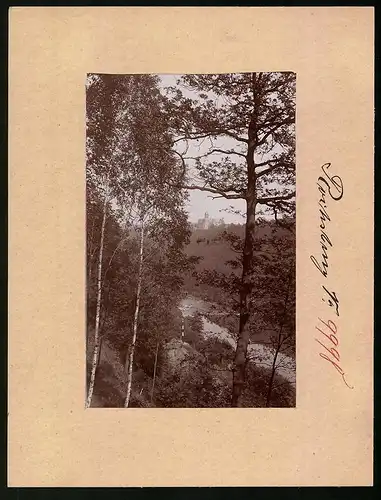 Fotografie Brück & Sohn Meissen, Ansicht Rochsburg, Blick auf das Schloss vom Wald aus gesehen