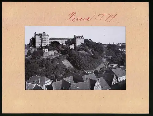 Fotografie Brück & Sohn Meissen, Ansicht Pirna a. Elbe, Teilansicht der Stadt mit Blick auf Schloss Sonnenstein