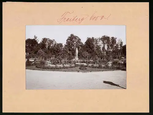 Fotografie Brück & Sohn Meissen, Ansicht Freiberg i. Sa., Partie im Albertpark mit Springbrunnen