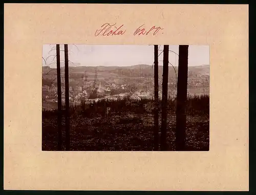 Fotografie Brück & Sohn Meissen, Ansicht Flöha i. Sa., Blick aus dem Wald auf die Stadt