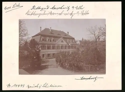 Fotografie Brück & Sohn Meissen, Ansicht Merschwitz a. Elbe, Blick auf das Rittergut Merschwitz