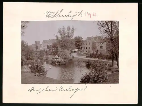 Fotografie Brück & Sohn Meissen, Ansicht Wittenberg a. Elbe, Partie in den Anlagen mit Blick auf die Wohnhäsuer