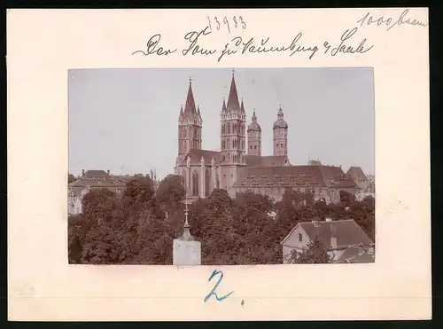 Fotografie Brück & Sohn Meissen, Ansicht Naumburg a. Saale, Blick auf den Dom