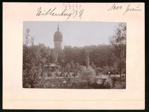 Fotografie Brück & Sohn Meissen, Ansicht Wittenberg, Partie in den Anlagen mit Blick auf den Schlossturm