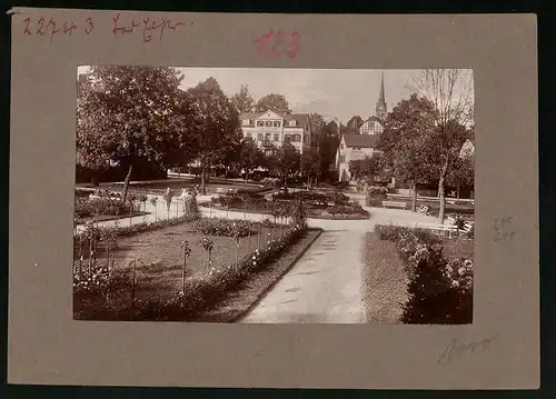Fotografie Brück & Sohn Meissen, Ansicht Bad Elster, Partie im Rosengarten mit Haus Rheingold
