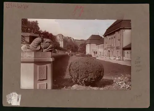 Fotografie Brück & Sohn Meissen, Ansicht Bad Elster, Partie am Albertbad mit Buchsbaum
