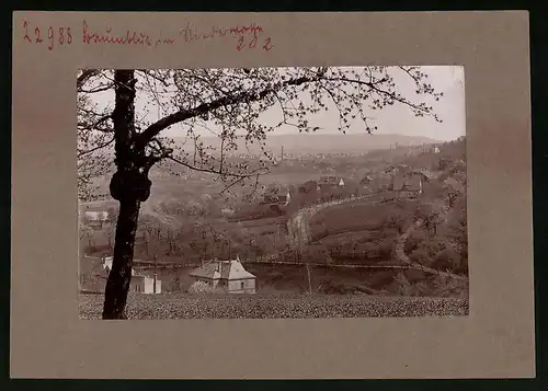 Fotografie Brück & Sohn Meissen, Ansicht Niederwartha, Blick auf den Ort während der Baumblüte