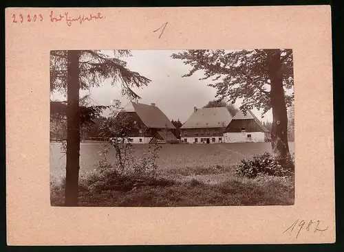 Fotografie Brück & Sohn Meissen, Ansicht Bad Einsiedel, Häusergruppe im Ort