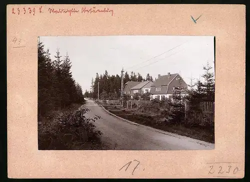 Fotografie Brück & Sohn Meissen, Ansicht Oberbärenburg i. Erzg., Partie im Villenviertel Waldidyll