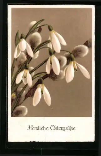 AK Ostergrüsse mit blühenden Schneeglöckchen und Weidenkätzchen