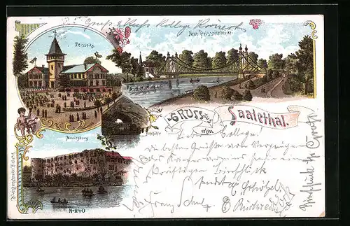 Lithographie Halle / Saale, Saalethal, Peissnitz, Neue Prissnitzbrücke, Moritzburg