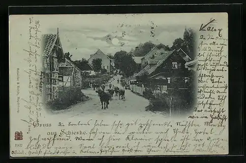 Mondschein-AK Schierke, Ortsansicht mit Rindern