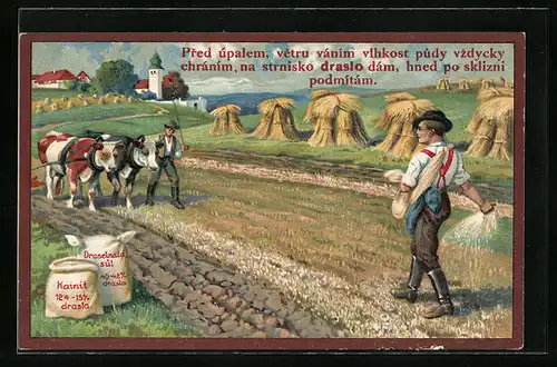 Künstler-AK Reklame Dünger, Krainit, Draselnata sul