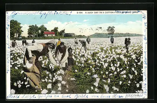 AK A Busy Day in a Cotton Field in Dixie-Land