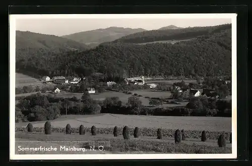 AK Mainburg, Ortsansicht aus der Ferne vom Feld aus