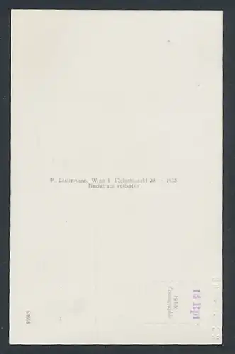 AK Semmering, Südbahnhotel gegen Rax