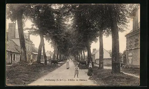 AK Chitenay, L`Allée du Château