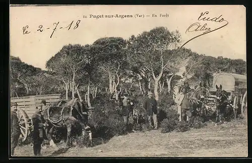 AK Puget-sur-Argens, En Foret