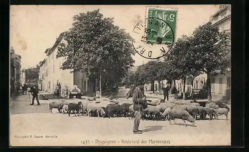 AK Draguignan, Boulevard des Marronniers